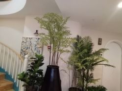 -新蝶变皮肤管理中心