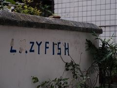 -懒鱼时光馆(沙坪坝店)