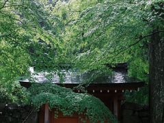 -三千院