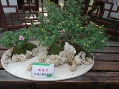 -汇龙潭
