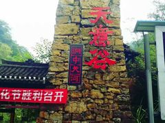 -华蓥山天意谷景区