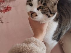 -美联众合动物医院·24h转诊中心