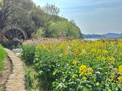 -天目湖山水园