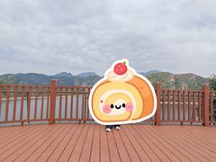 -燕塞湖鸟语林景区