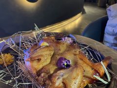 -Hi City·城市之巅