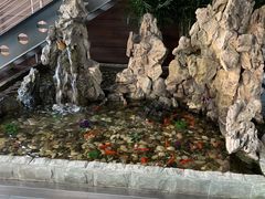 -上海德星奔驰(江杨南路店)