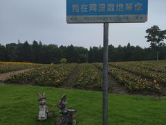 -同里国家湿地公园