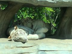 -北京野生动物园