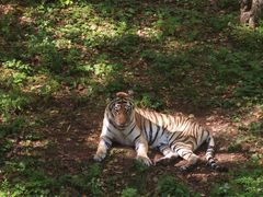 -哈尔滨北方森林动物园