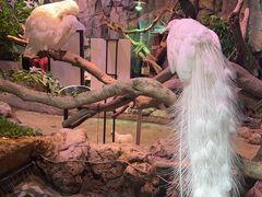 -正佳雨林生态植物园