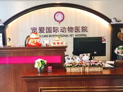 -宠爱国际动物医院·消化内科·心肾内科·ISFM猫友好(望京店)