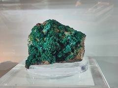 -中国地质大学逸夫博物馆