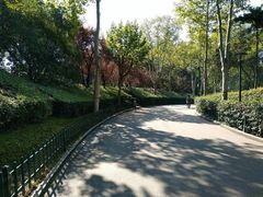-西安市长乐公园