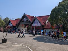 -上海海湾国家森林公园