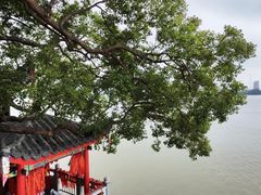 -仓山金山寺