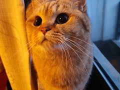 -佳雯宠物医院(金华南路分院)