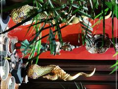 -泰国餐厅 Thai Food(裕华万达店)