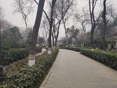 -莲湖公园