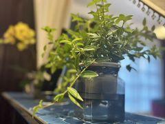 -洋房私宴上海私房菜(海滨商务楼店)