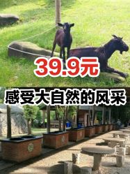 -长沙小顽国景区