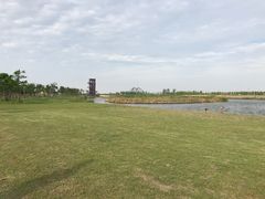 -春花秋色城市公园