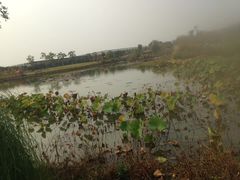 -嬉乐湾休闲旅游区