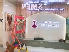 -糯米喵星人·撸猫猫舍咖啡馆(西市场嘉华店)