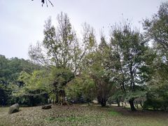 -东湖落雁景区