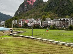 -长寿村