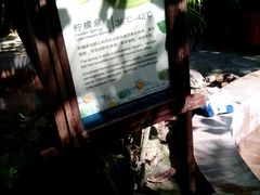 -三亚珠江南田温泉度假区