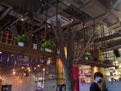 -同仁四季椰子鸡(宝安壹方城店)