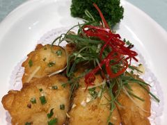 -金米箩大酒店(五角场店)