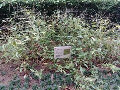 -广州神农草堂中医药博物馆