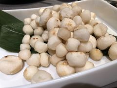 -同仁四季椰子鸡(海岸城天利店)