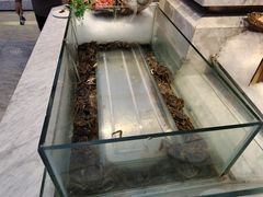 -川骄海鲜自助(河东店)