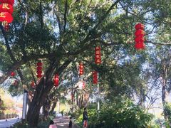 -广州市石门国家森林公园
