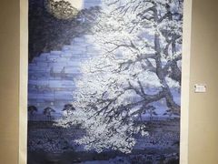 -云南省图书馆