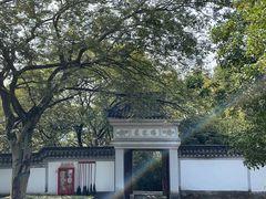 -上海佘山国家森林公园天马山园