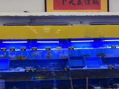 水产区-蟹老板的海鲜