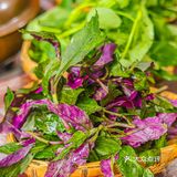 来青城山必打卡‼️特色山珍铜锅腊排土鸡馆🔥