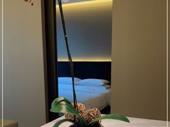 -成都博舍酒店