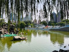 -团结湖公园