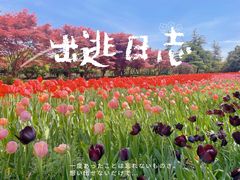 -上海鲜花港