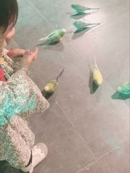 -酷嗒动物文化乐园(cutezoo西溪乐天城店)