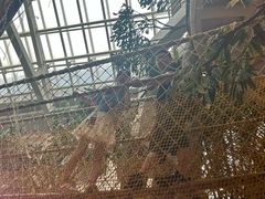 -正佳雨林生态植物园