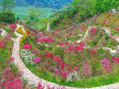 -大鄣山卧龙谷景区
