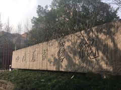 -梯坎豆花