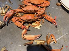 -一方渔歌蒸汽海鲜自助(文化路万达广场店)