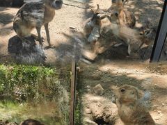 -北京世界公园