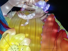 -武汉园博园(武汉自然博物馆)